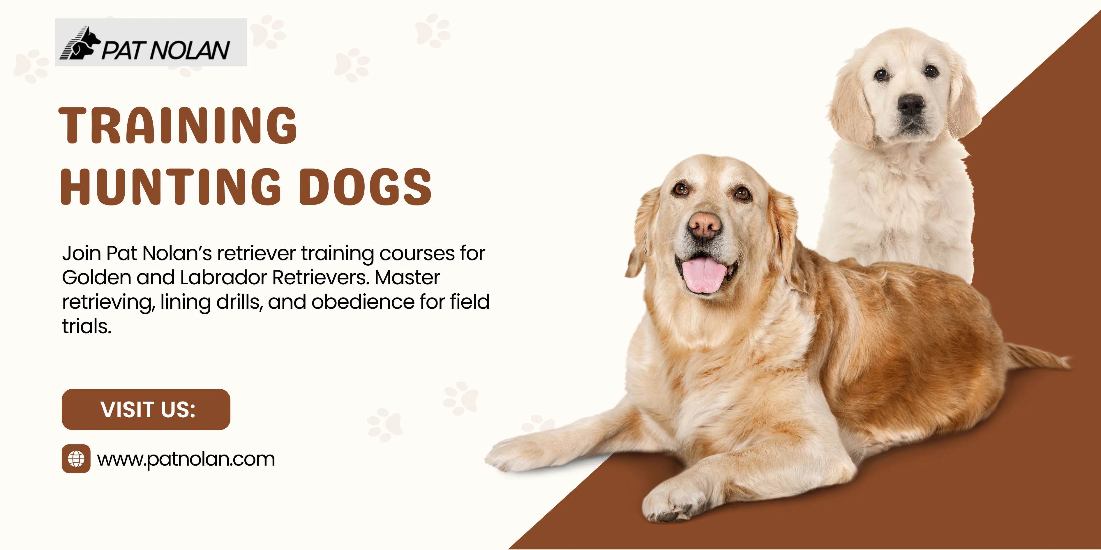 How Professional Retriever Training Builds Reliable Hunting and Field Trial Dogs