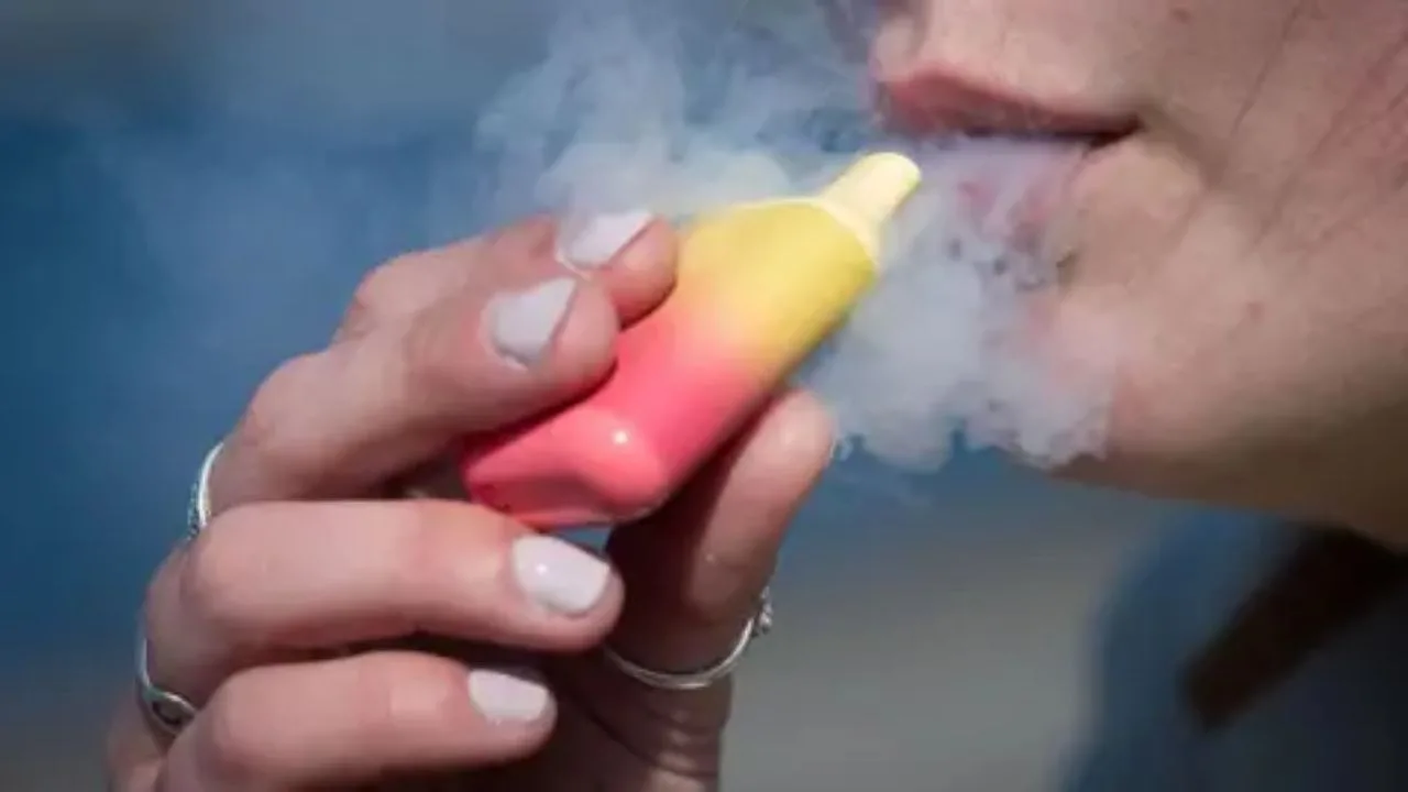 Top Dab Rigs in Florida for Coastal Users