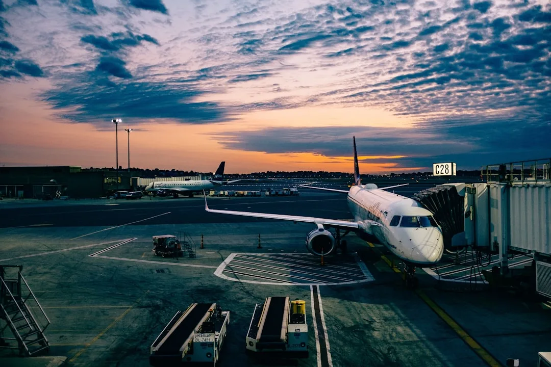 How Fare Alerts Help You Save Money on Flights