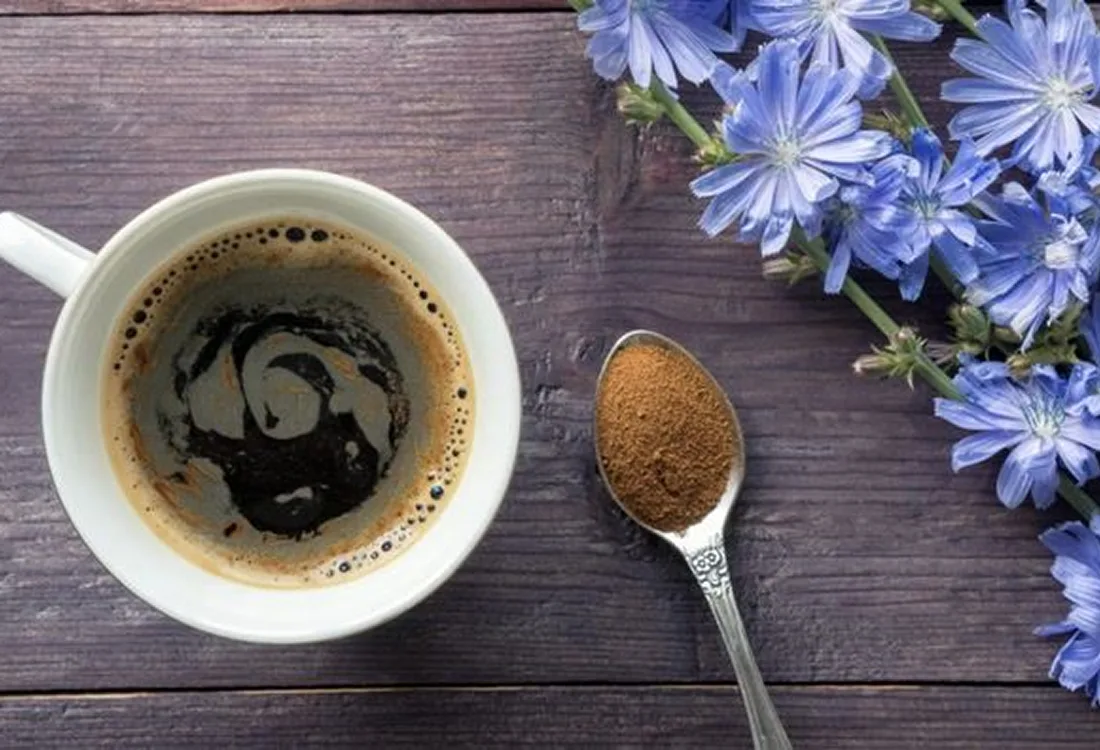 Liquid Chicory Trends Shaping the Food Industry in 2026