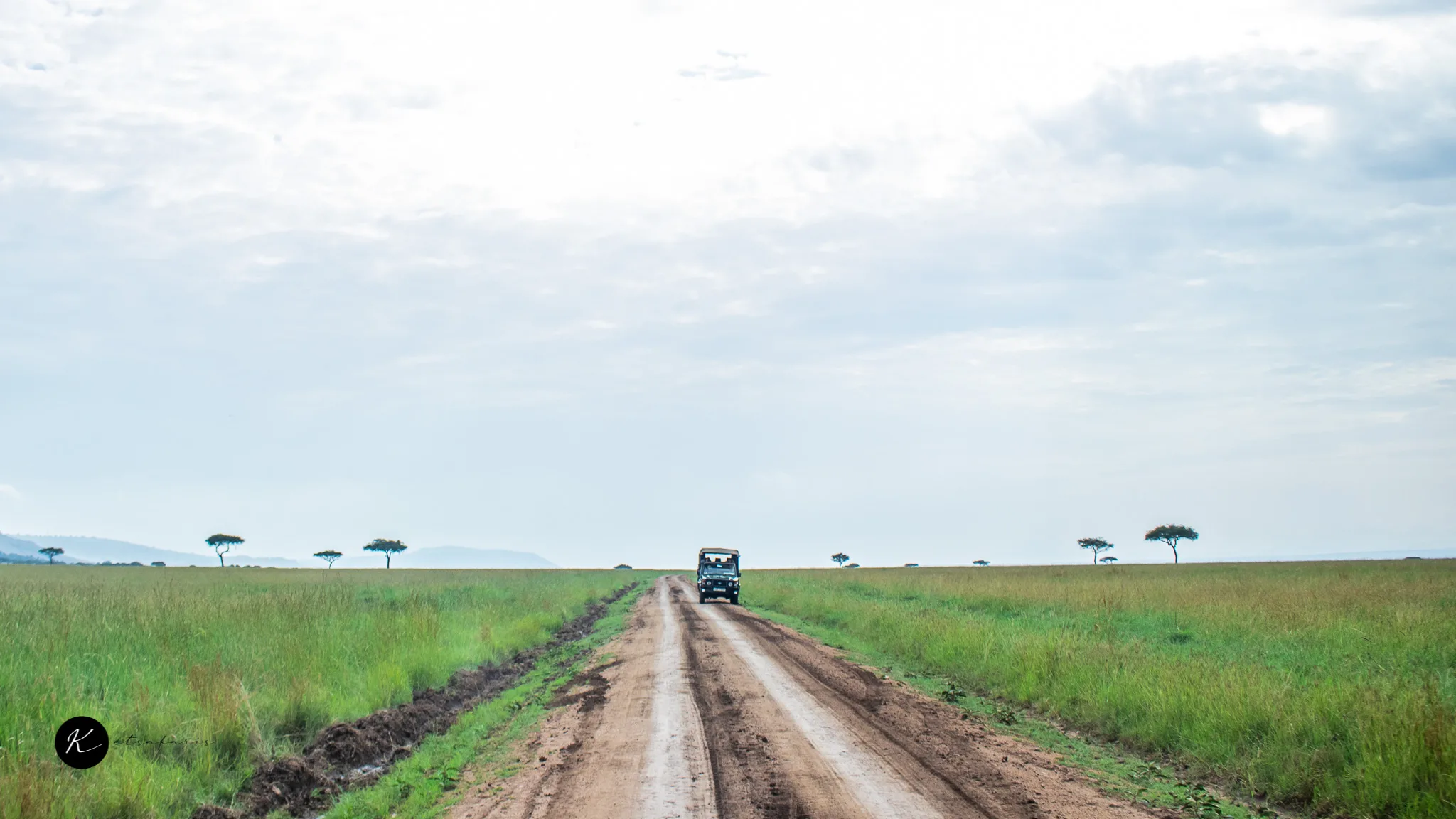 Serengeti Safari Packages: North vs. South, Which Region Should You Choose?