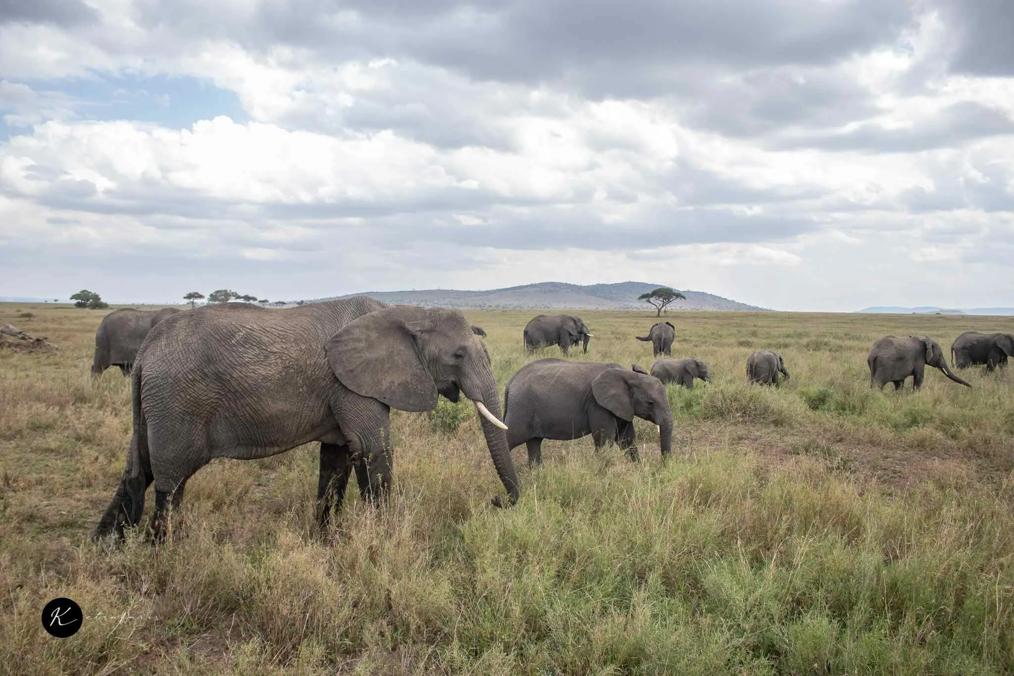 Nairobi Day Trips: What to Do Before or After Your Kenya Safari