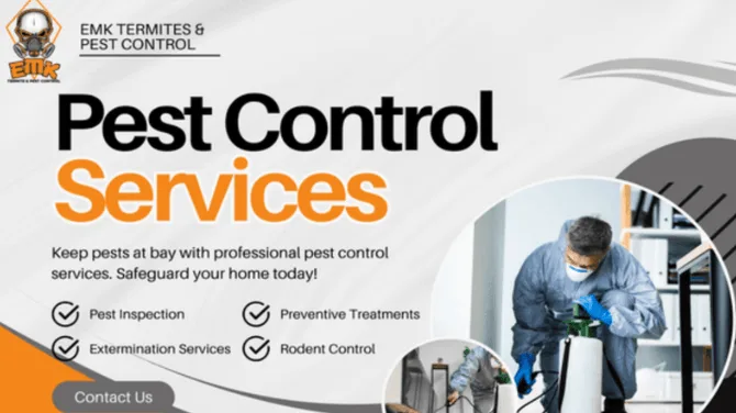 How Much Does Commercial Pest Control Cost in Sydney?
