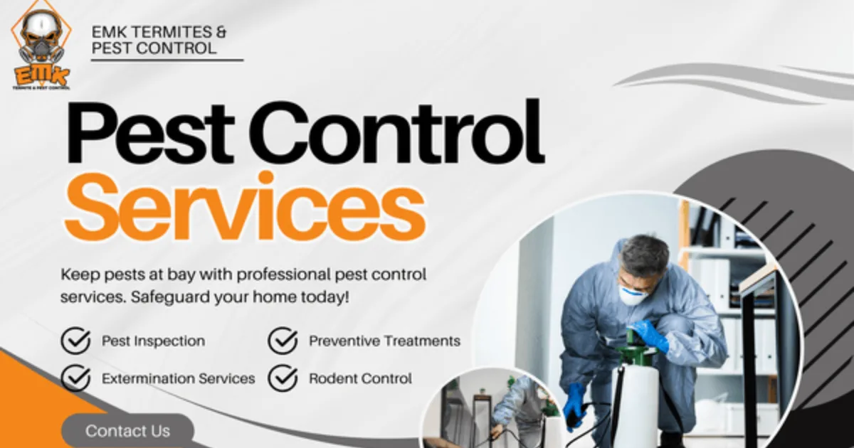 Best Termite Treatment Sydney for Residential Properties