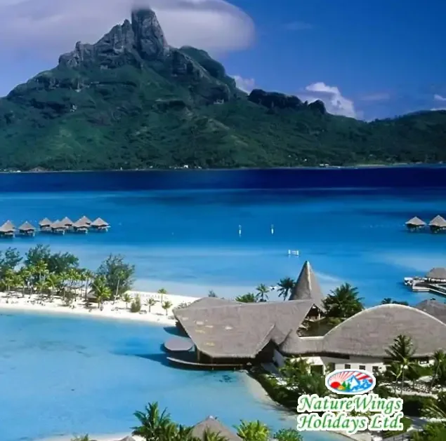 Andaman Package Tour from Kolkata for a Fun-Filled Family Trip