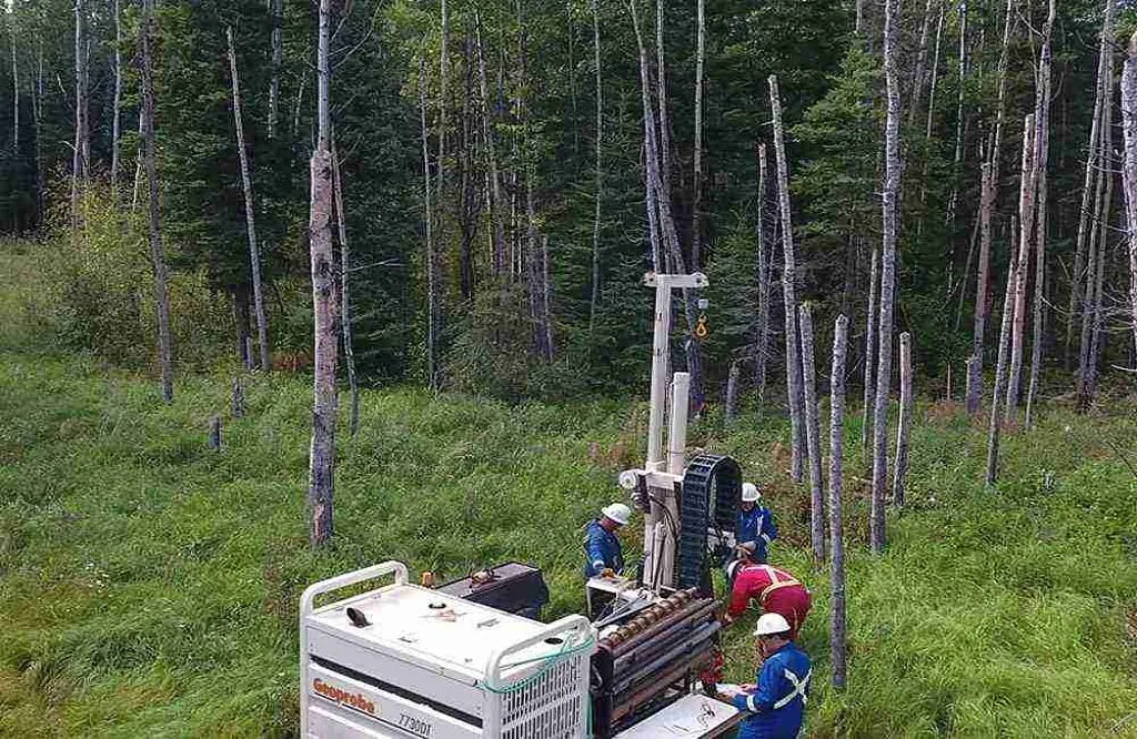 Why Environmental Assessments Are Valuable for Long Term Project Success