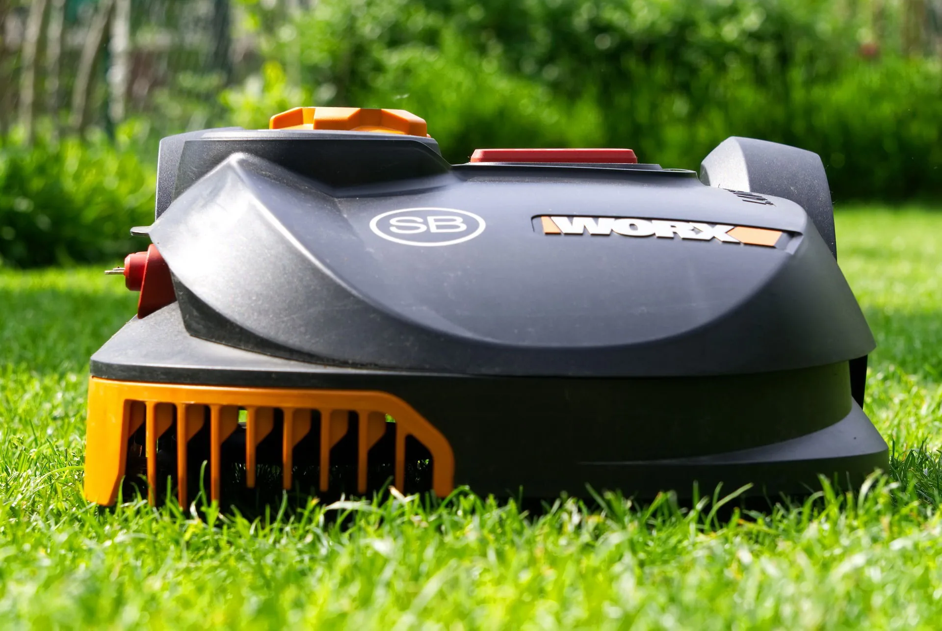Complete Yard Care Guide for Ottawa & Gloucester Lawn Services