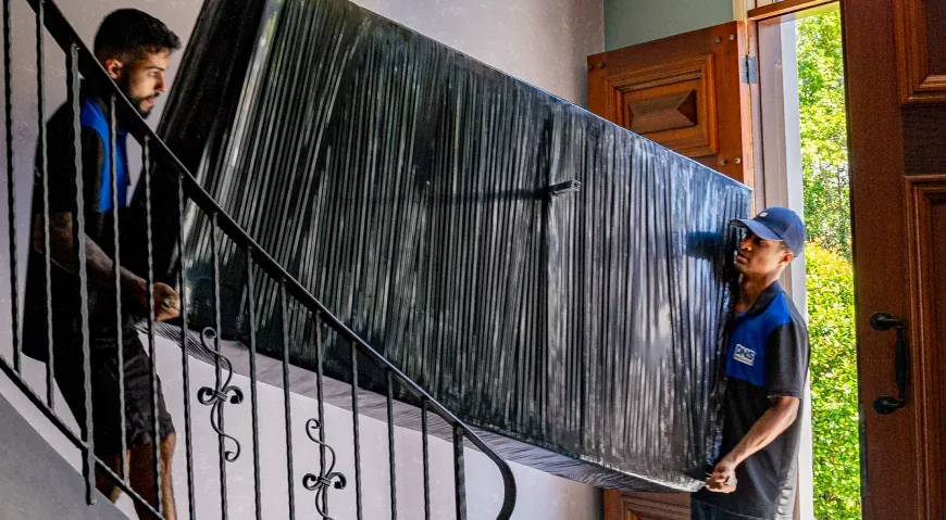 Reliable and Stress-Free Moving with Professional Brisbane Removalists