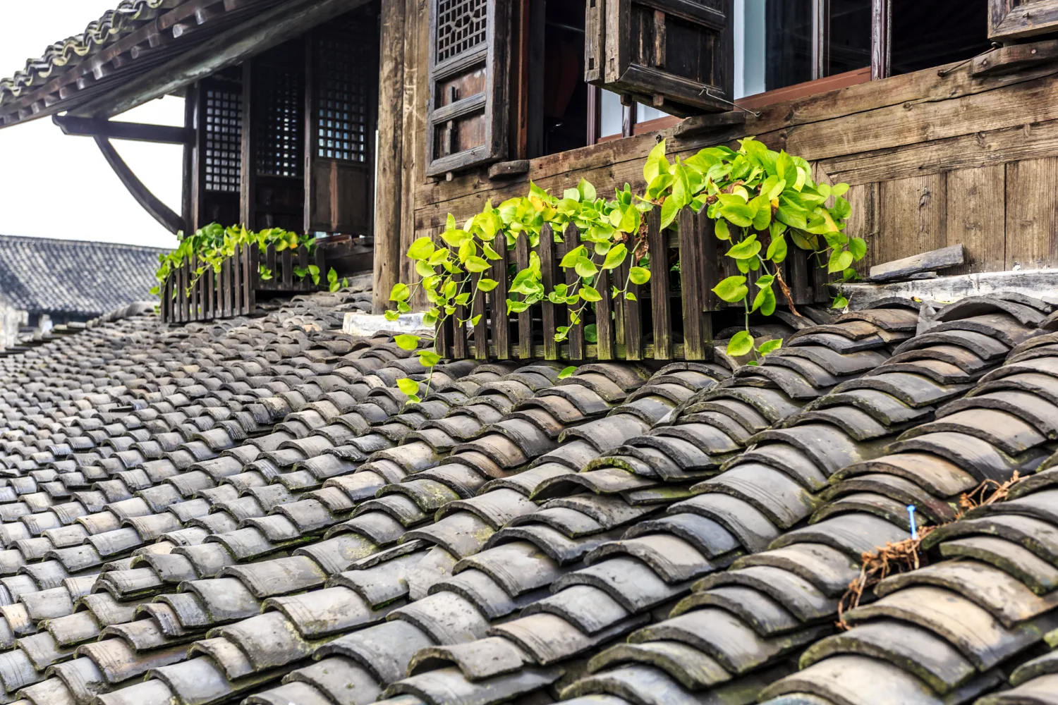 Trusted Roofers in Shoreham for Repairs & New Roofs