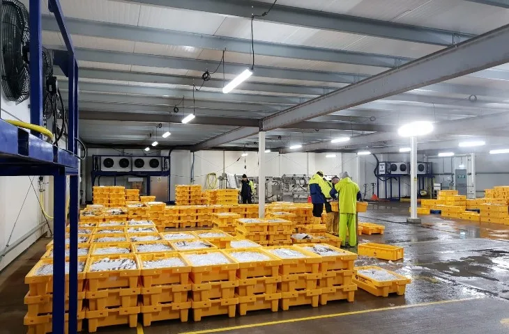 What Industries Depend Most on Cold Storage Warehouse UK Services?
