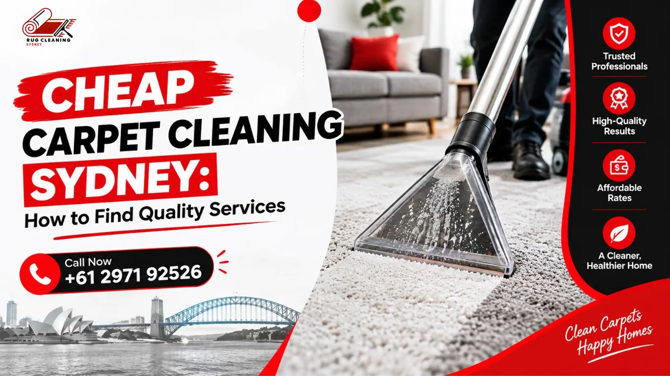 Cheap Carpet Cleaning Sydney: How to Find Quality Services