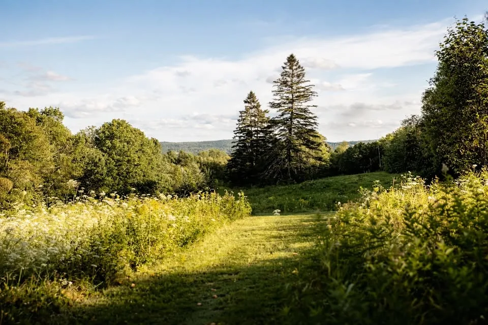 Discover the Benefits of Nature Immersion Retreats in Maine