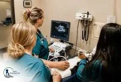 How Do Digital X-Rays Help Diagnose Pet Health Problems in Oakdale?