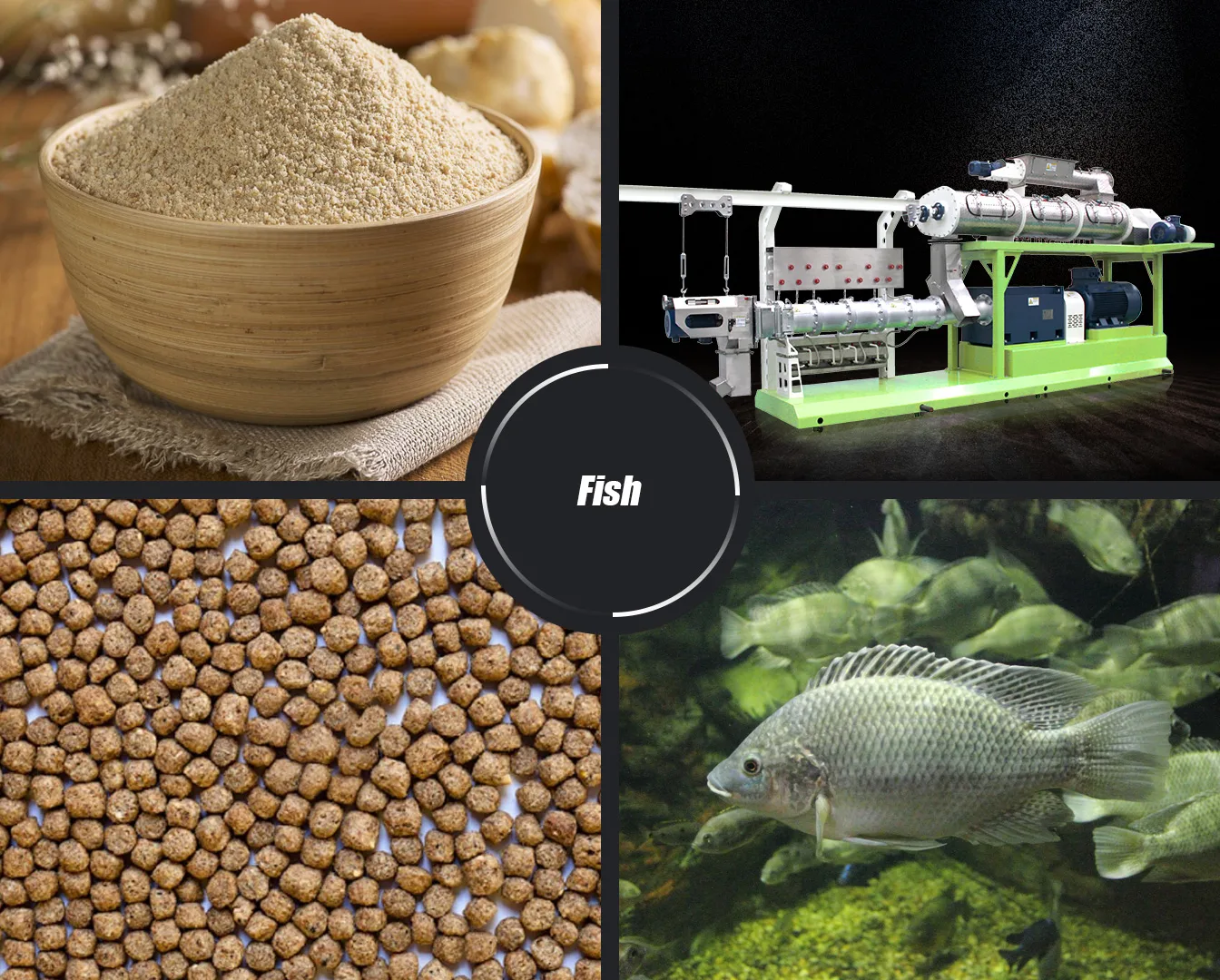Choosing the Right Fish Food Pellet Making Machine for Aquaculture Success
