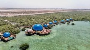 "Discover LuxeGlamp UAE – A Luxury Beach Escape for Families in Dubai "