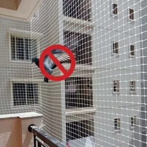Pigeon Safety Nets in Chennai – A Complete Solution for Bird Protection