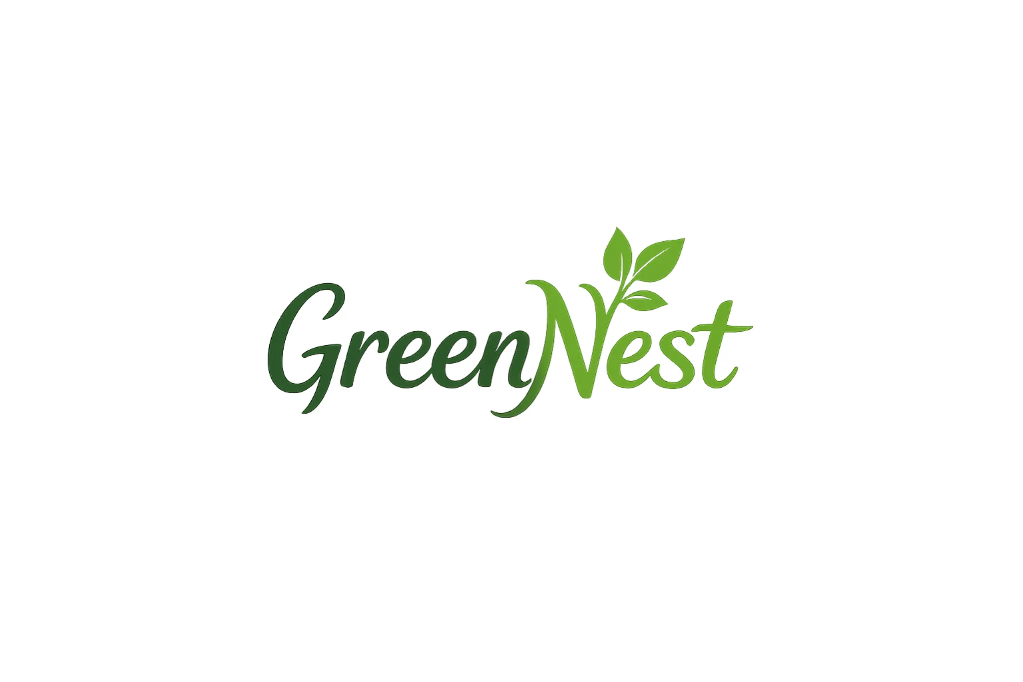 Best Low Maintenance Indoor Plants in India for Beginners