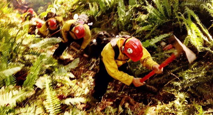 Why American Wildland Fire Tools Are Built Differently