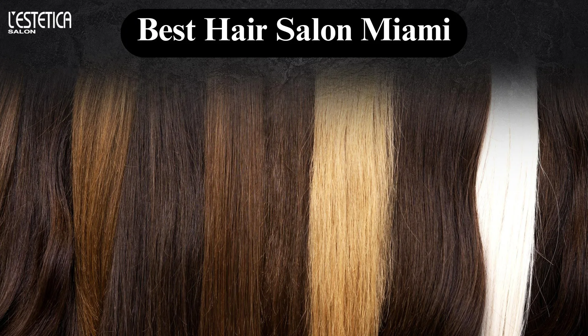 Elevating Your Look: Why Professional Hair Care Makes a Difference