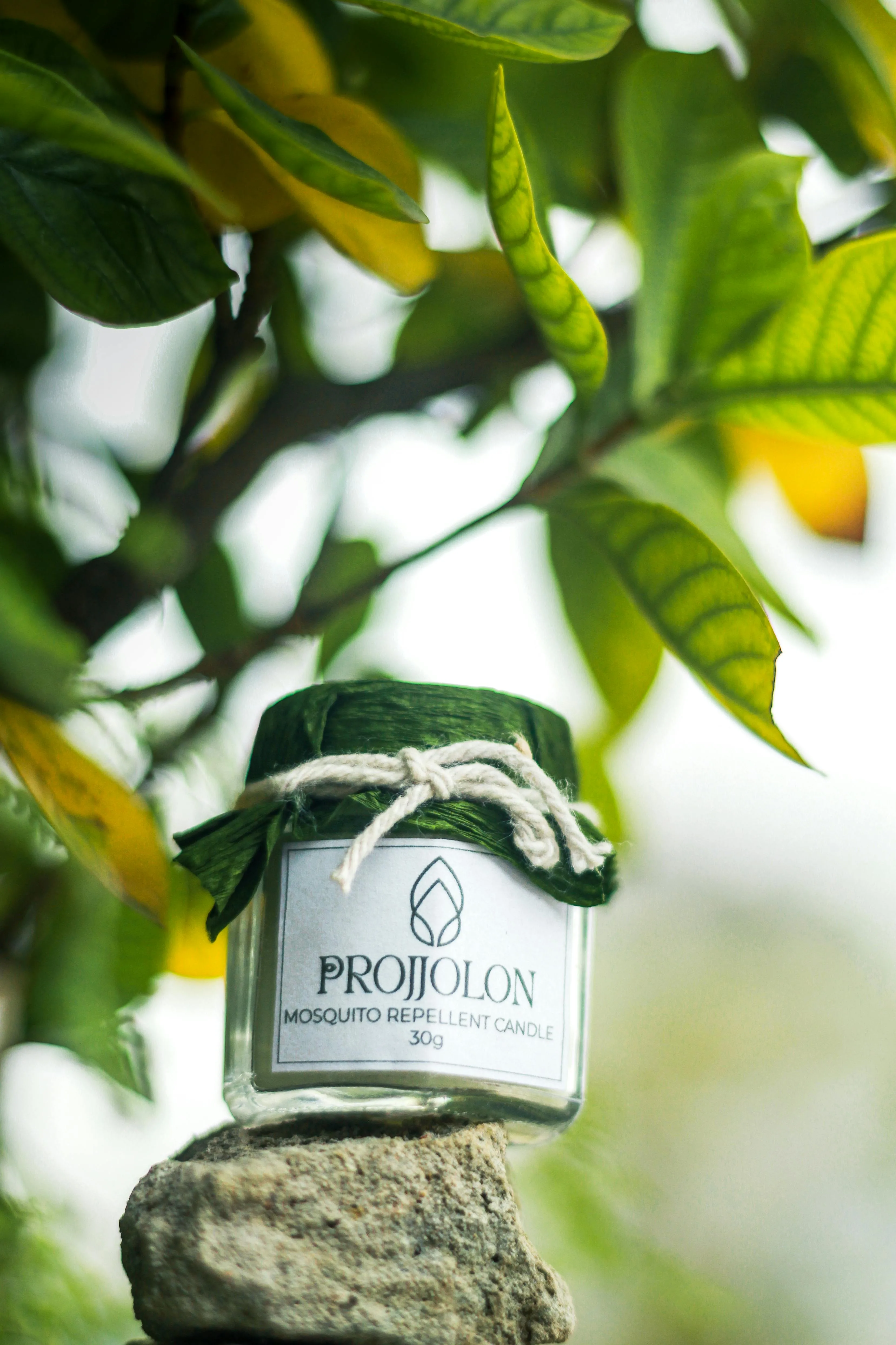 DIY Methods of Bug Control for a Comfortable Summer Evening