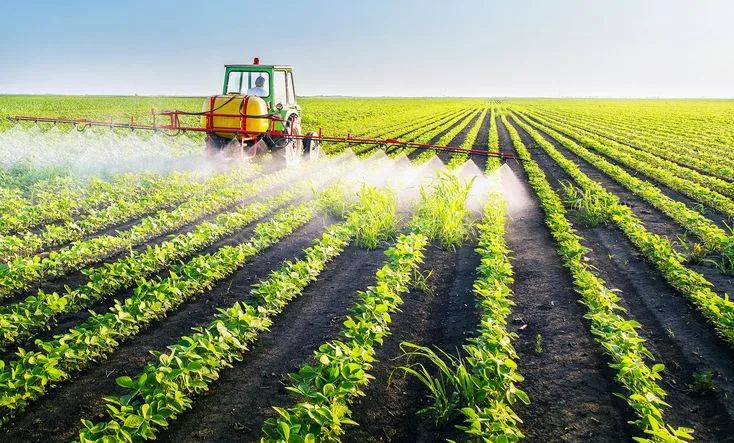 Liquid Fertilizer for Plants: Benefits, Types, Application Tips & Best Practices
