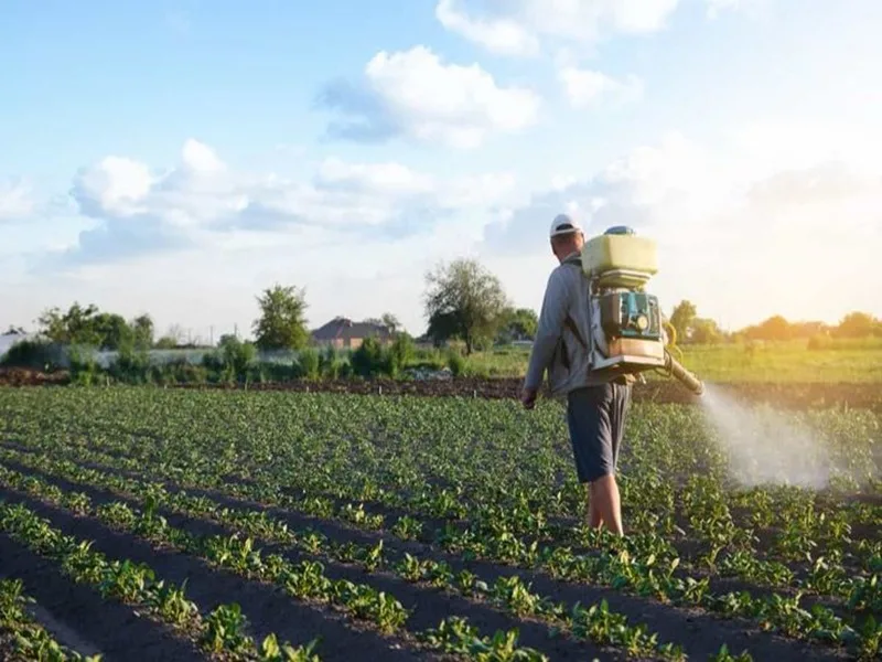 Best Fertilizer Company in India: What Farmers Should Look for Before Choosing One