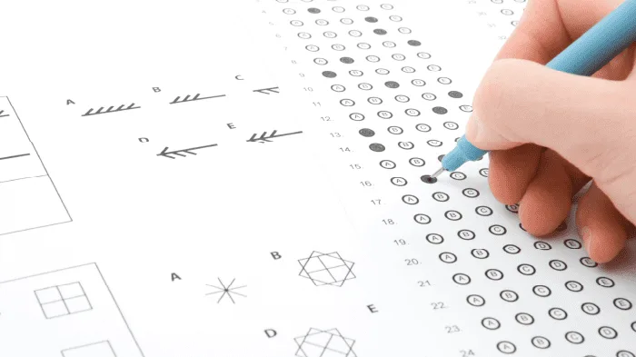 How Accurate Are Online IQ Tests vs Professional IQ Tests
