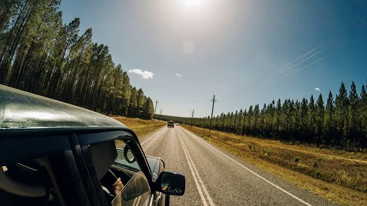 Why Renting a Car is the Best Way to Explore Tasmania