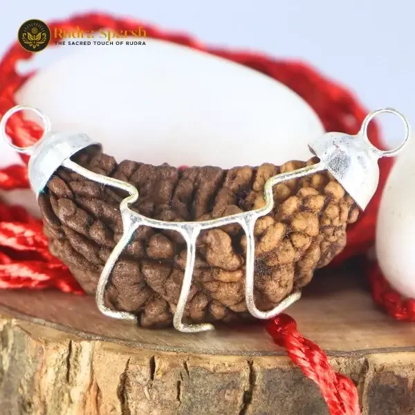 1 Mukhi Rudraksha: Meaning, Benefits, Authenticity & Why It Is Considered the Most Powerful Rudraksha