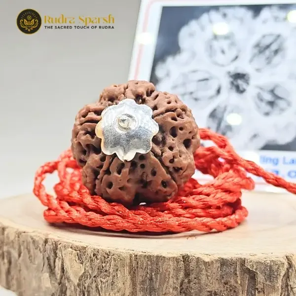 Benefits of 5 Mukhi Rudraksha for Stress, Calmness, and Mental Wellness