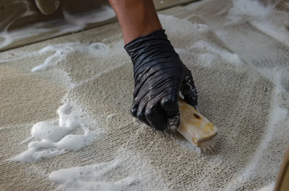 Why Choose Professional Rug Cleaning in Miami?