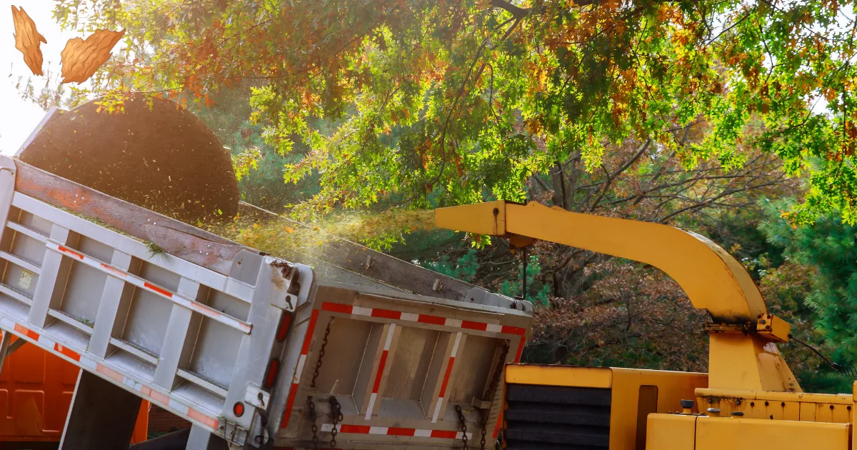Wood Chipping Service in Halifax: A Practical Solution for Property Cleanup