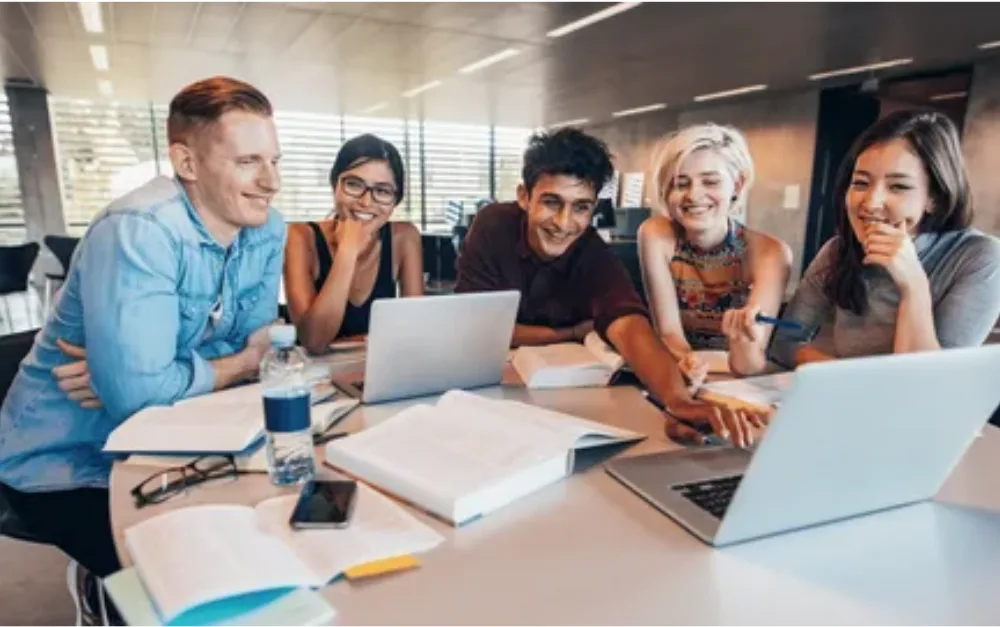 Curious How Accounting Courses Online Build Skills?