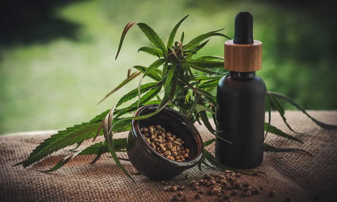 The Smoke Alarm That Won't Shut Off: What Cannabis Can (and Can't) Do for PTSD