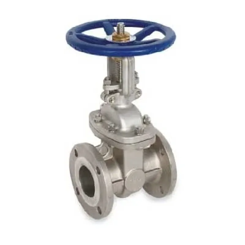 Gate Valve Manufacturer & Exporter