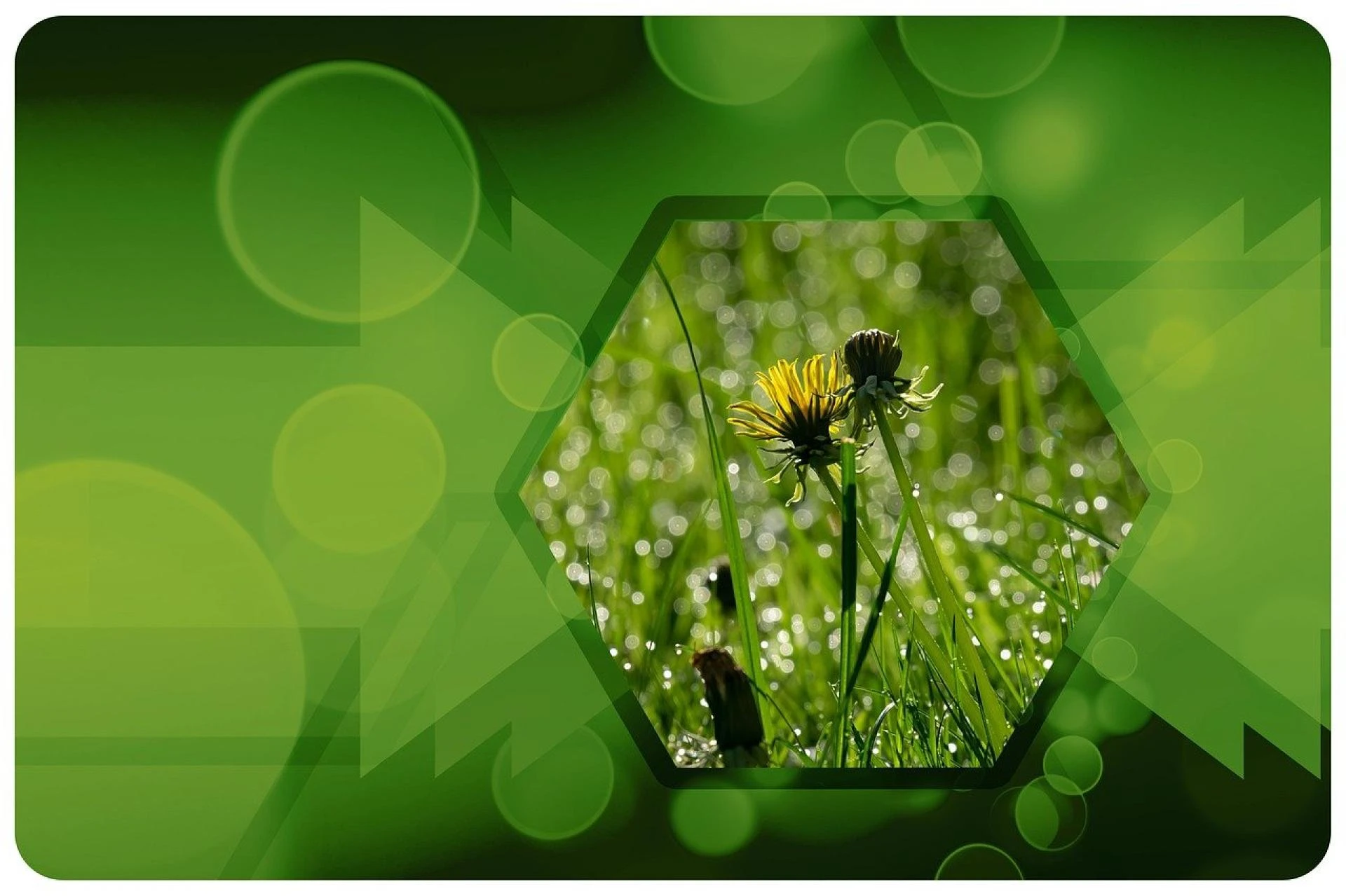 How to Protect What Matters Most with Reliable Solutions