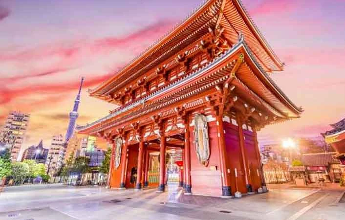 Which Airlines Offer the Most Baggage Allowance from Florida to Japan