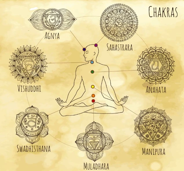 Vedic Research Institute: Conserving Historic Knowledge for Next Generations 