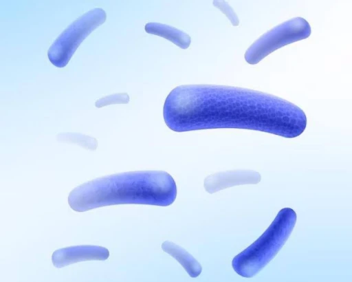 Bacillus Clausii Uses,Benefits & Dosage