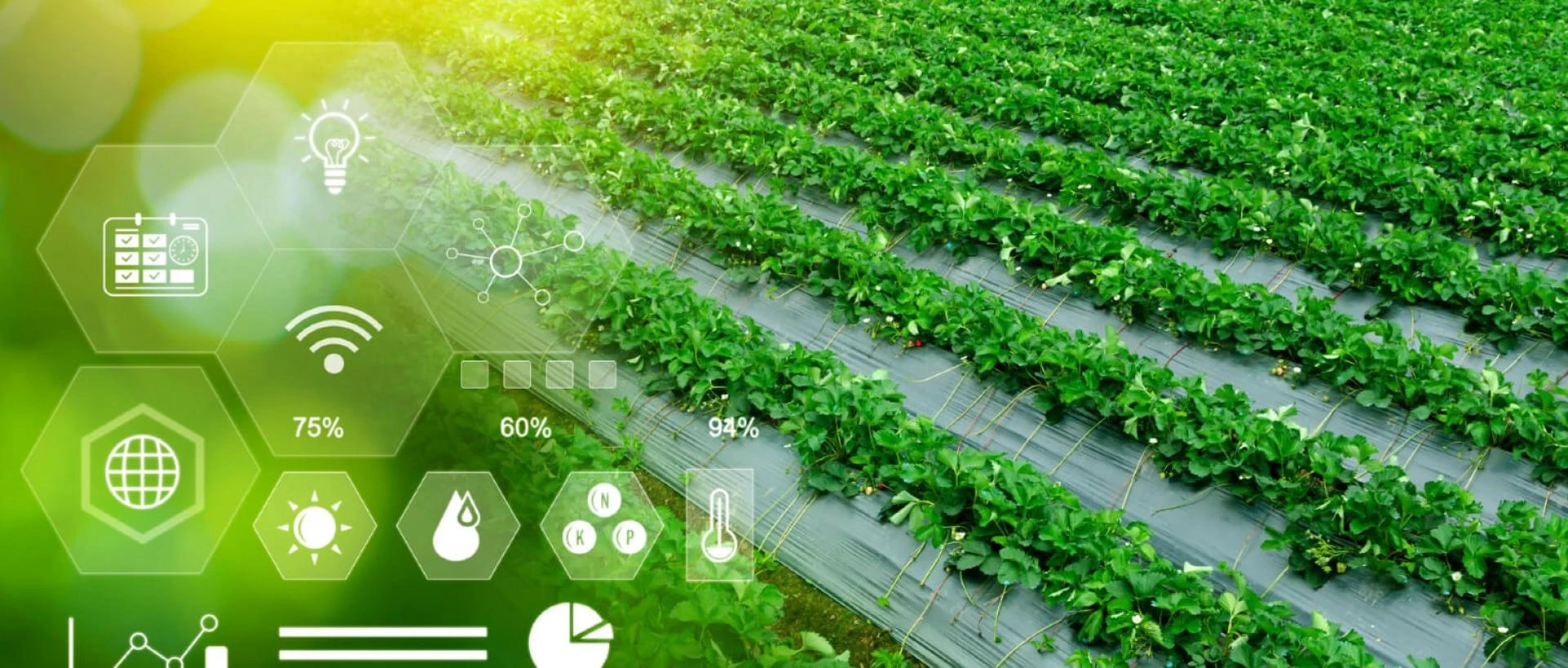 Key Features to Include in an AgTech Software Solution