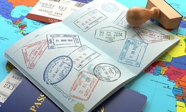 Starting Your Medical Career in New Zealand: A Guide to Visas for Doctors and Post-Study Work Options