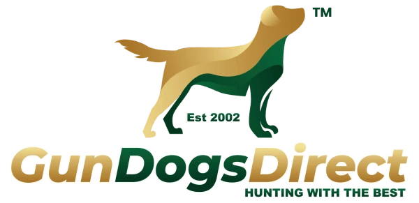 Vizsla vs. German Shorthaired Pointer: Which is the Better Gundog?