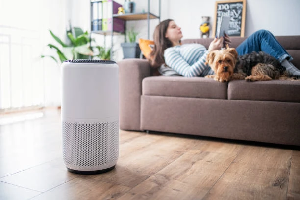 Why Clean Air Is Crucial for Employee Health in the Workplace
