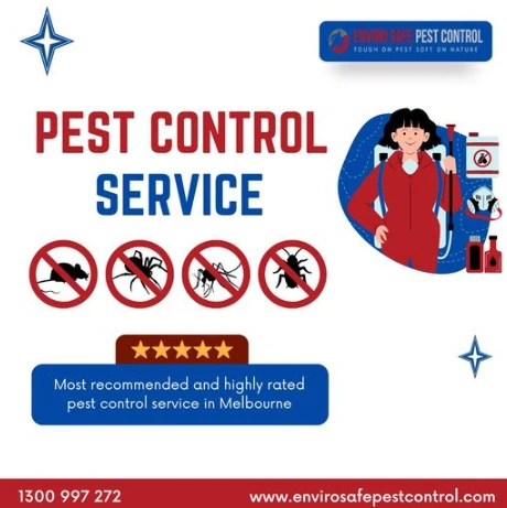 How to Safeguard Your Home with Effective Pest Control Solutions