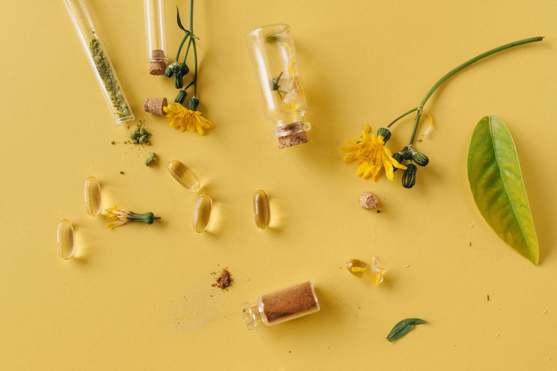 Top 6 Chinese Herbal Supplements for Everyday Wellness