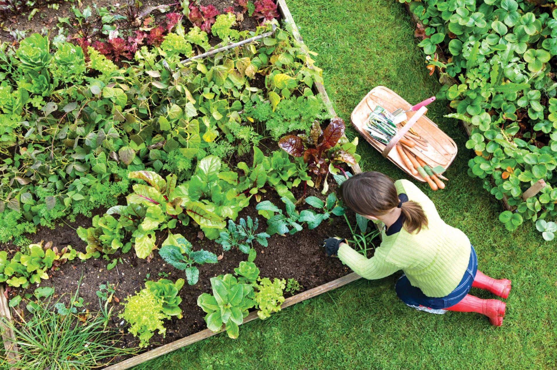 The Future Is Fertile: How Garden Software Cultivates Sustainable Growth