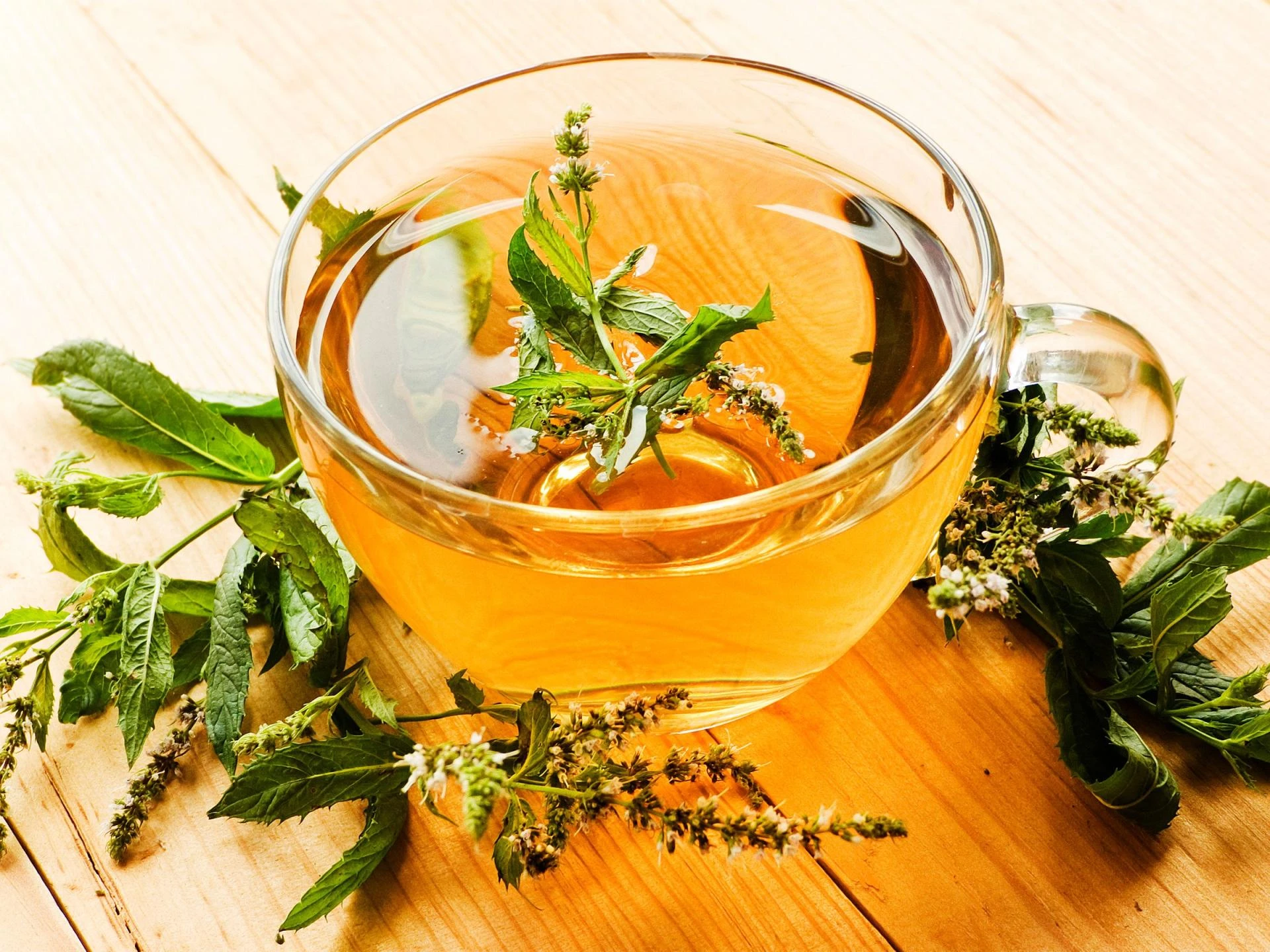 Top 10 Organic Teas for Pregnancy Health Support - HolyIndia