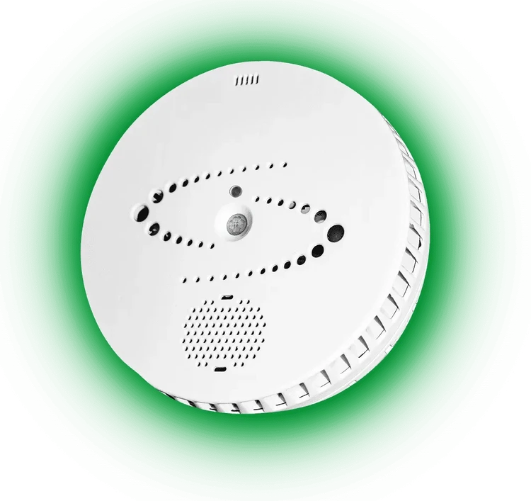 Smart, Safe, and Secure: Exploring the HALO Smart Sensor's Features
