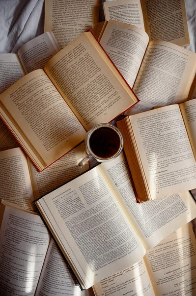 How Political Thriller Books and Social Issues Books Help Us Understand the World