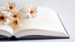 Real Romance Books on Amazon: Discover Authentic Love Stories That Capture the Heart